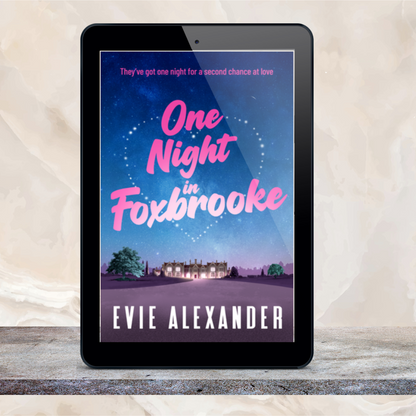 One Night in Foxbrooke ebook novella  cover